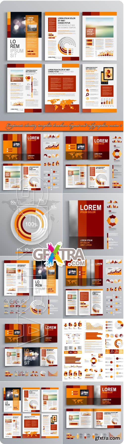 Corporate identity template brochure layout and infographics vector 3