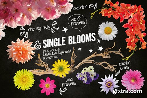 100 Isolated Flower Chalk Kit 100 Isolated Flower Chalk Kit