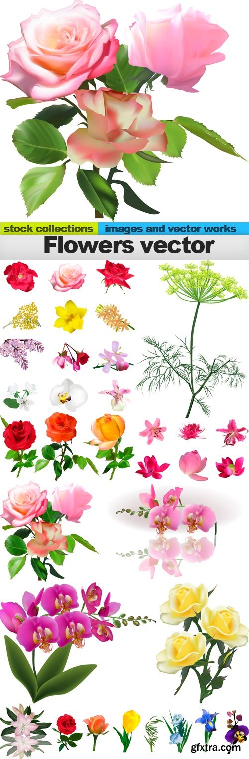 Flowers vector, 10 x EPS
