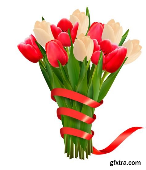 Vector - Colorful Flowers - Tulips