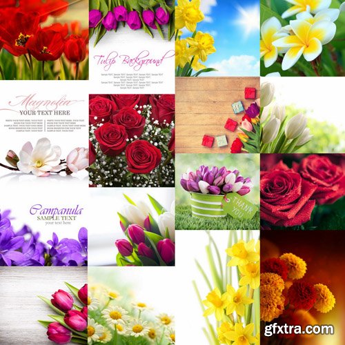 Flowers Backgrounds - 25 HQ Images