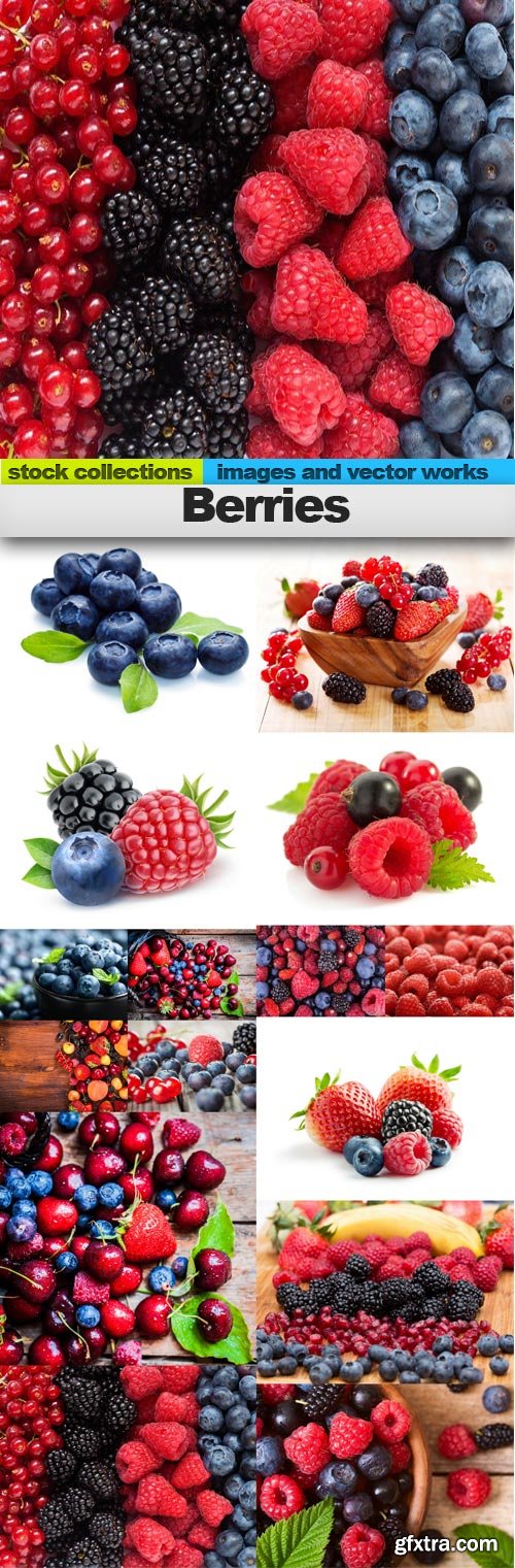 Berries, 15 x UHQ JPEG