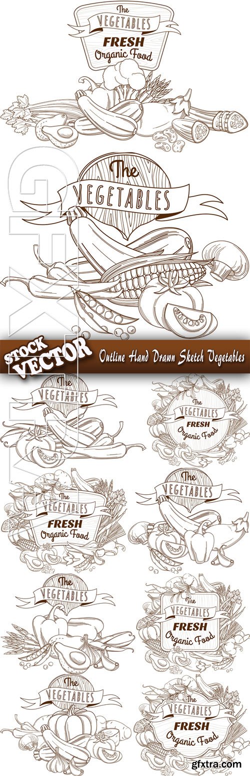 Stock Vector - Outline Hand Drawn Sketch Vegetables