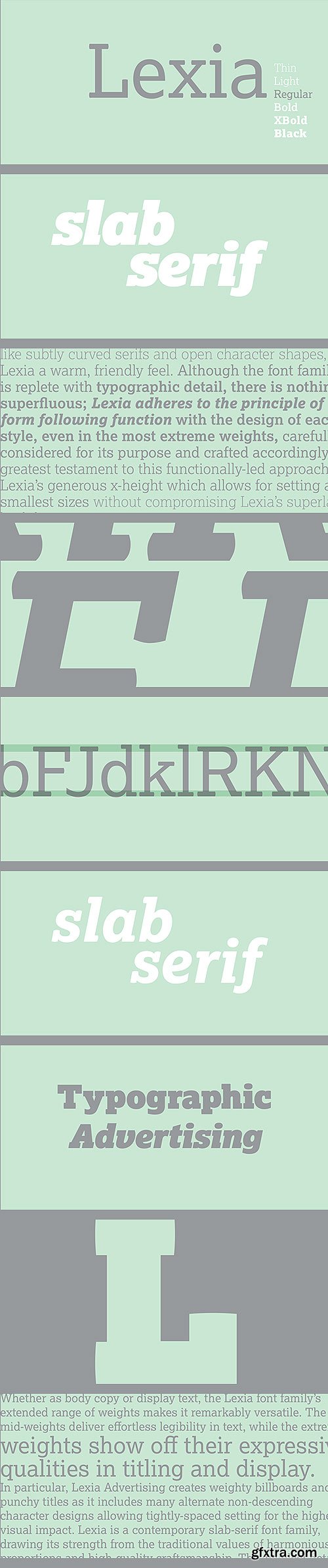 Lexia Slab Serif Font Family 14xOTF $960
