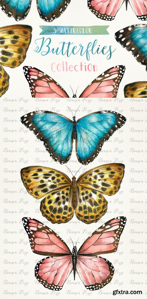 3 Watercolor Butterflies - CM 198350 3 Watercolor Butterflies - CM 198350