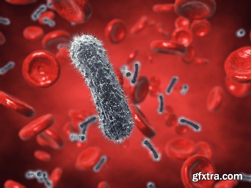 Bacterium &amp; Virus, 25xUHQ JPEG