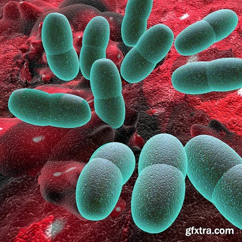 Bacterium &amp; Virus, 25xUHQ JPEG