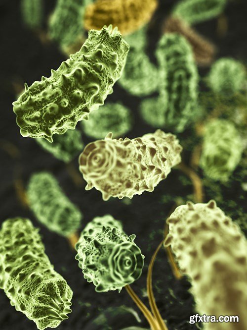 Bacterium &amp; Virus, 25xUHQ JPEG