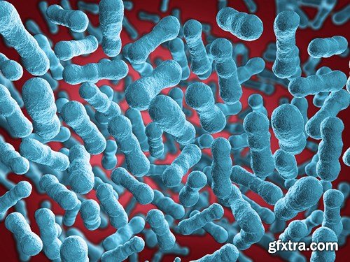 Bacterium &amp; Virus, 25xUHQ JPEG