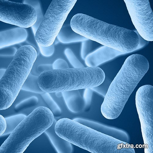 Bacterium &amp; Virus, 25xUHQ JPEG