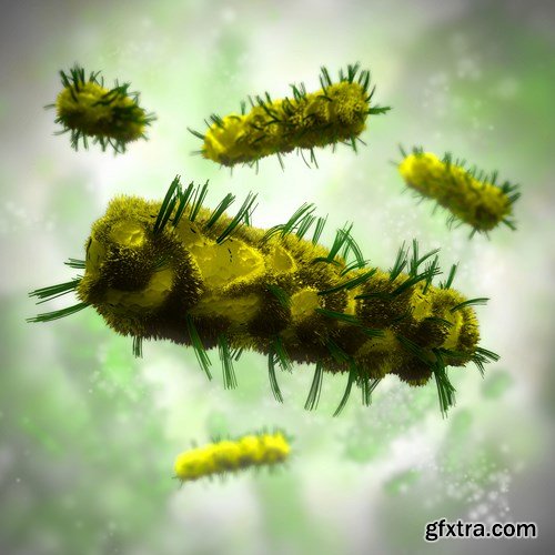 Bacterium &amp; Virus, 25xUHQ JPEG