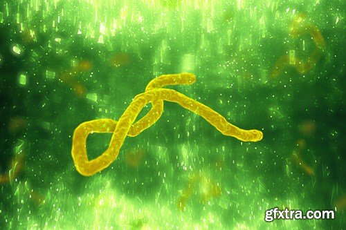 Bacterium &amp; Virus, 25xUHQ JPEG
