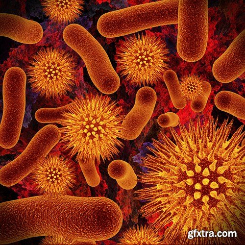 Bacterium &amp; Virus, 25xUHQ JPEG