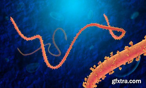 Bacterium &amp; Virus, 25xUHQ JPEG