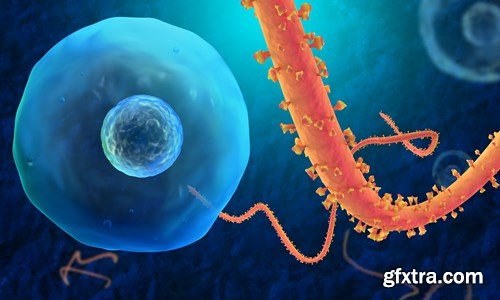 Bacterium &amp; Virus, 25xUHQ JPEG