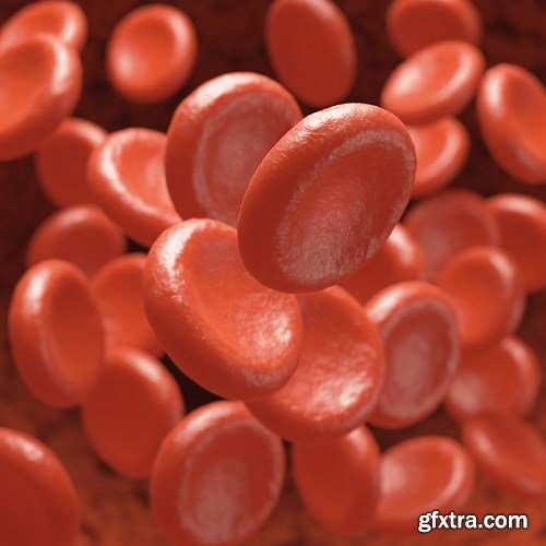 Bacterium &amp; Virus, 25xUHQ JPEG