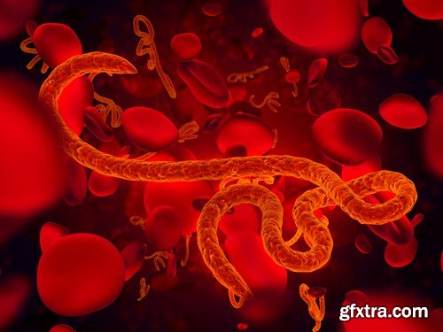 Bacterium &amp; Virus, 25xUHQ JPEG