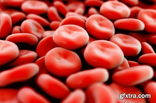 Bacterium &amp; Virus, 25xUHQ JPEG