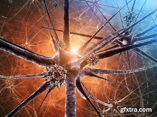 Bacterium &amp; Virus, 25xUHQ JPEG