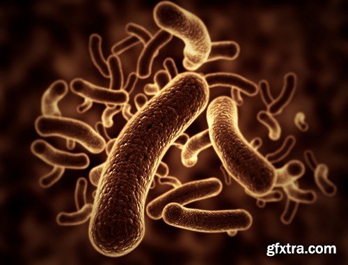 Bacterium &amp; Virus, 25xUHQ JPEG