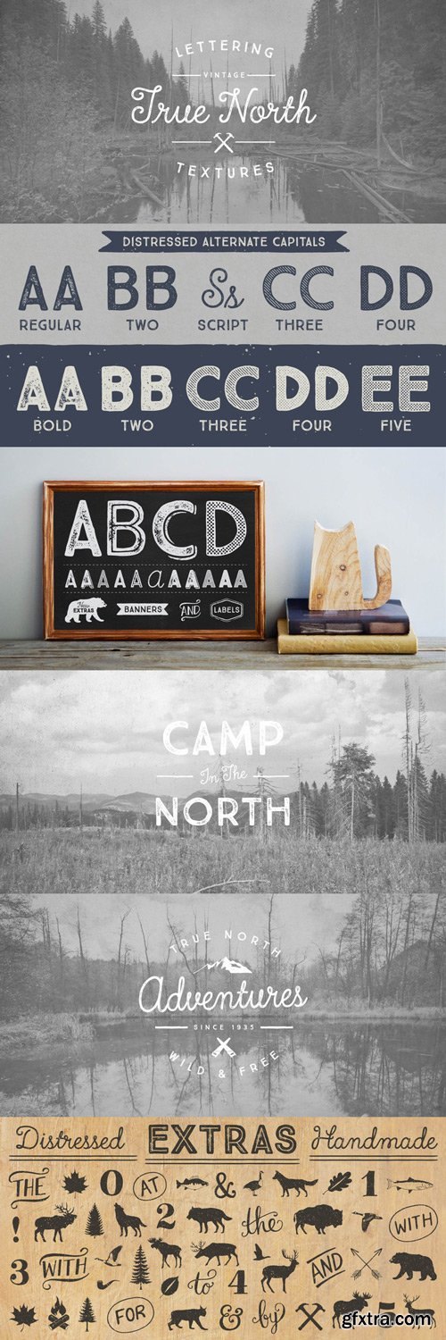 True North Textures Font Family $300