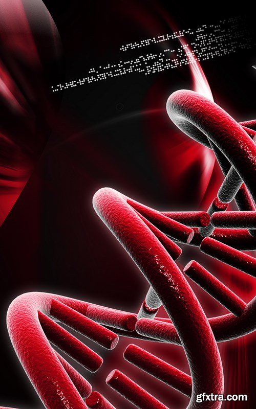 DNA Collection - Stock Images, 25xUHQ JPEG