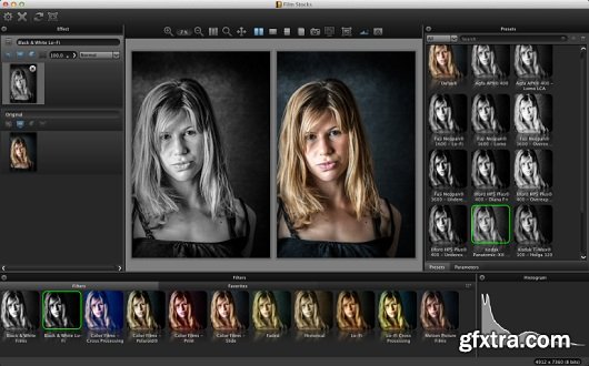 DFT FilmStocks 2.0v4 (Mac OS X)