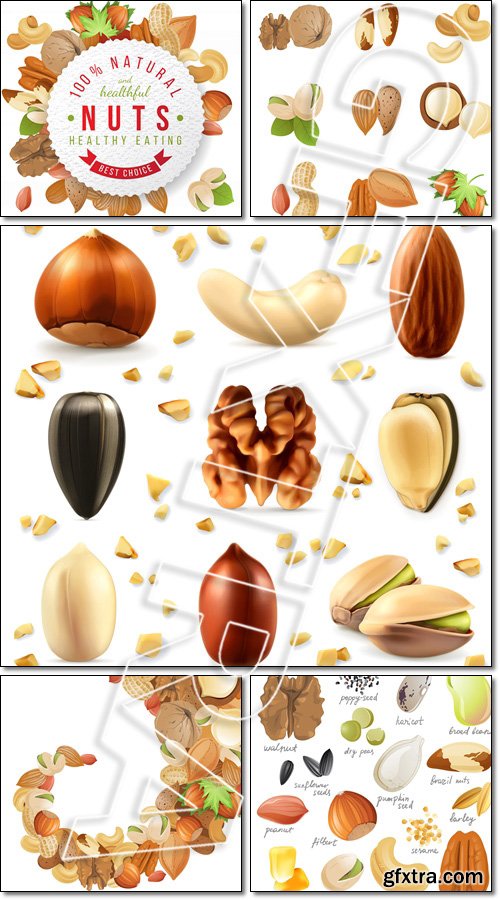 Icon set of seeds, nuts and beans - Vector