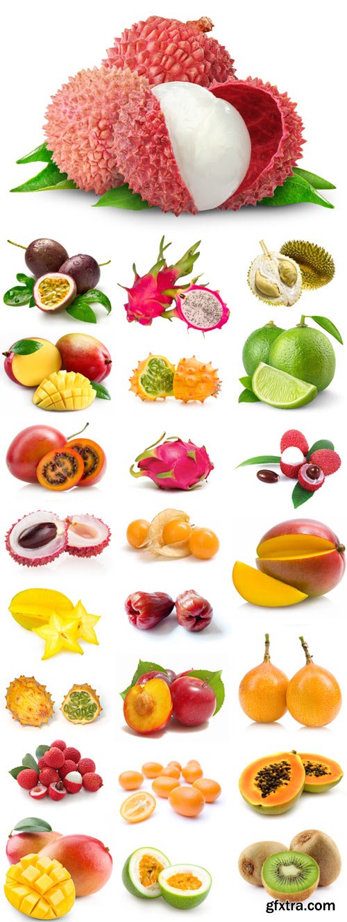 Tropical fruits raster graphics