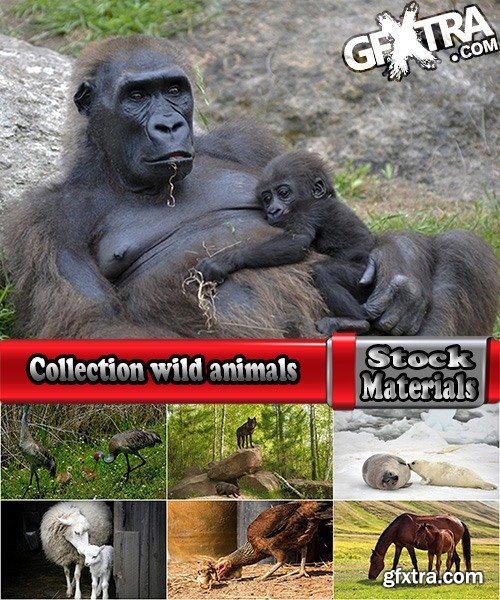 Collection wild animals with young offspring 25 HQ Jpeg