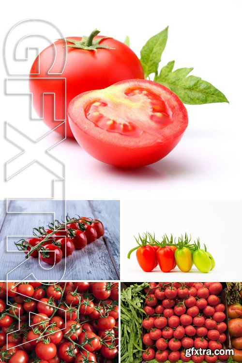 Stock Photos - Tomatoes 3