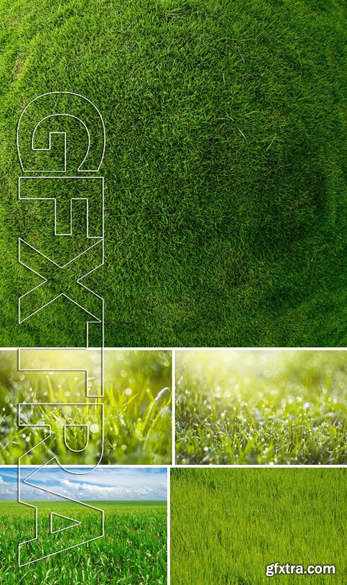 Stock Photos - Grass Texture 2