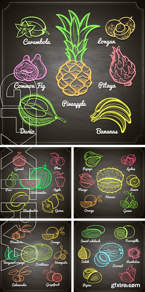 Stock Vectors - Exotic fruits set color chalk painted on black chalkboard vector illustration
