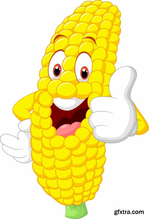 Collection of different vector picture corn 25 Eps