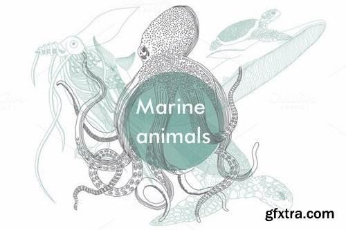 CM - Marine animals 51032 CM - Marine animals 51032