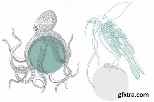 CM - Marine animals 51032 CM - Marine animals 51032