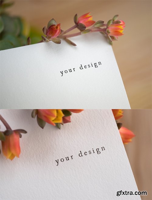 2 Logo Mock ups with Flowers 2 Logo Mock ups with Flowers
