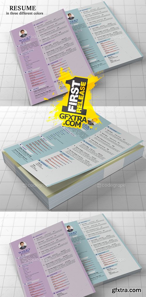 Personal Resume Template Personal Resume Template