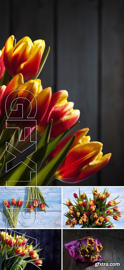 Stock Photos - Bouquet Of Tulips