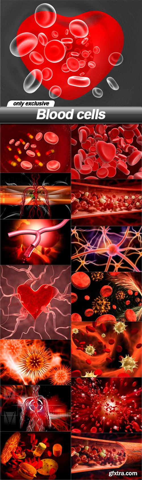 Blood cells - 15 UHQ JPEG