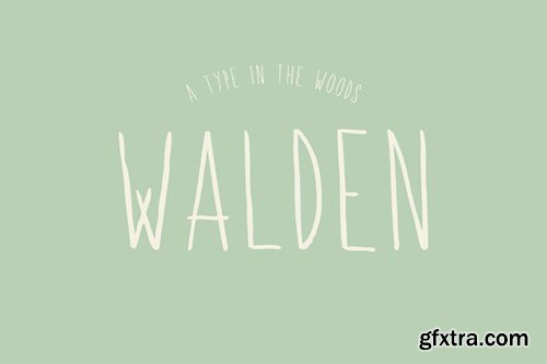 CM Cellar Door Mega Font Bundle 259163