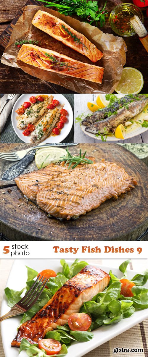 Photos - Tasty Fish Dishes 9