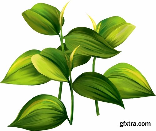 Collection of vector image of different leaves tree leaf 25 Eps