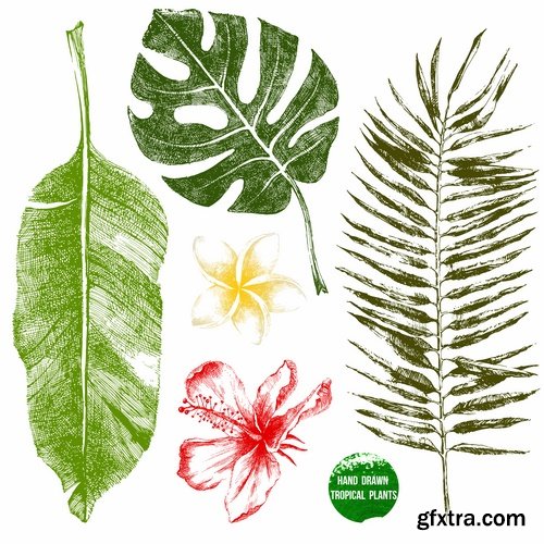 Collection of vector image of different leaves tree leaf 25 Eps