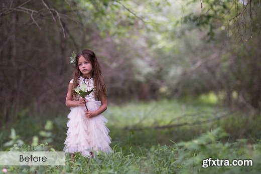 Pretty Presets - Lightroom Brush and Graduated Filter Bundle