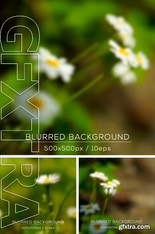 Stock Vectors - Daisies in the field. Fresh chamomile, spring. Blurred background. Vector