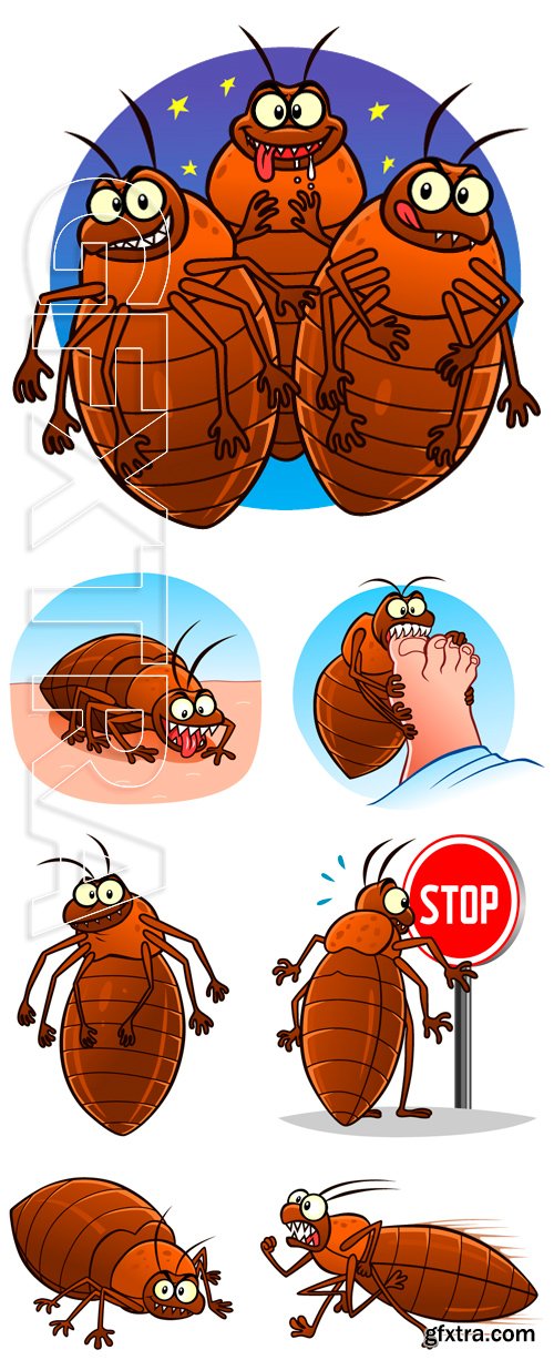 Stock Vectors - Vector illustration of cartoon bedbug