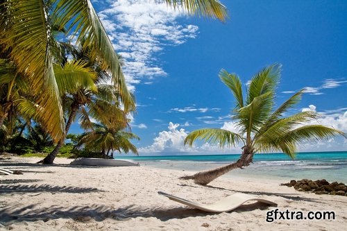 Collection of beautiful palm tree beach of a bungalow Cuba sand sea vacation 25 HQ Jpeg