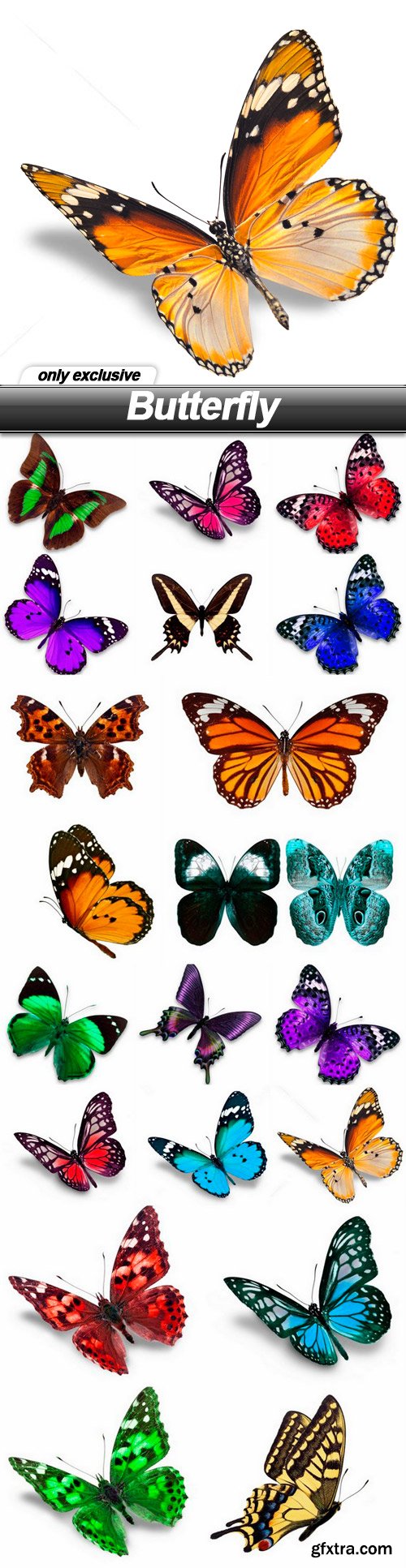 Butterfly - 20 UHQ JPEG