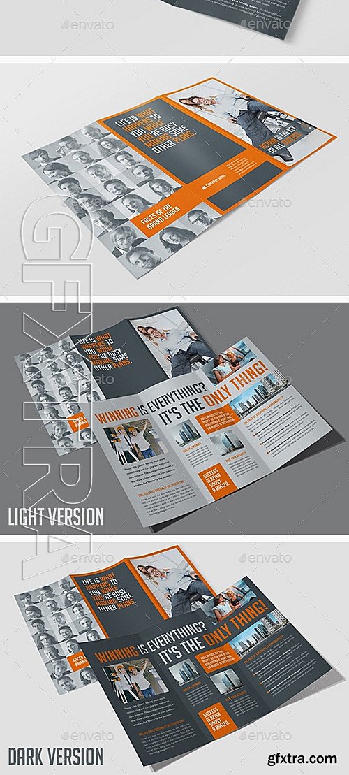 GraphicRiver - Business Tri-Fold Flyer 11858815